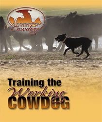 Training the Working Cowdog